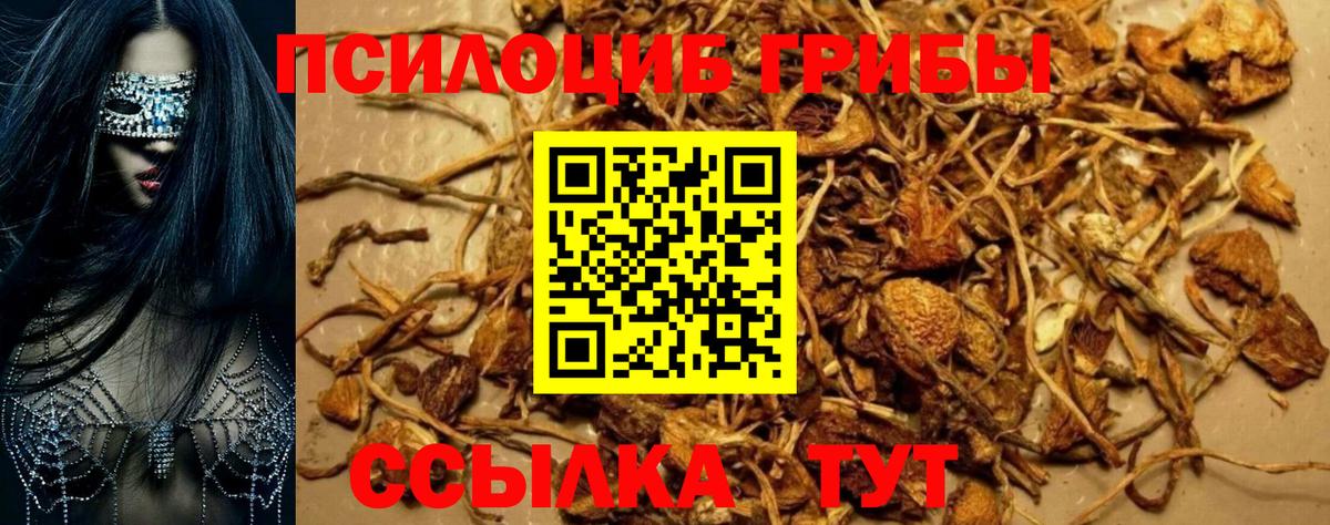 Галлюциногенные грибы Magic Shrooms  Вход с VPN  закладка  Серпухов 