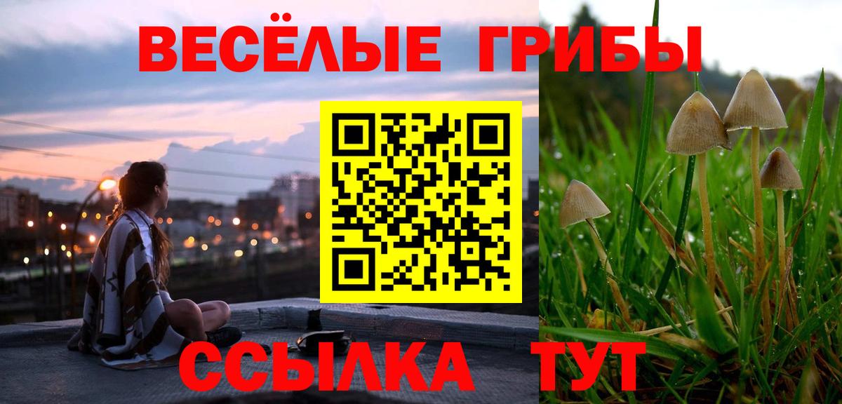 Псилоцибиновые грибы Psilocybine cubensis Серпухов